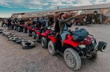 Sinai Desert Escape: Quad Biking Thrills & Camel Ride Serenity