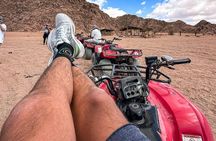 Sinai Desert Escape: Quad Biking Thrills & Camel Ride Serenity