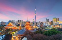 Tokyo Private Group Tour – Flexible Schedule and Stops