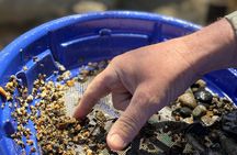 Kelowna Scenic Canyon Gold Panning Experience
