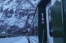 1Day Tour from Bergen to Flåm, Nærøyfjord Cruise & Stegastein 