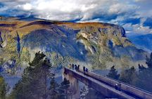1Day Tour from Bergen to Flåm, Nærøyfjord Cruise & Stegastein 
