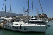 Whale & Dolphin Observation on Electric Sailing Boat in Denia