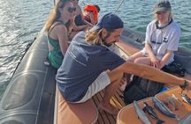 Small Group Dolphin Tour on Hybrid Boat in Sotogrande