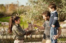 Explore Temaiken: Biopark Tour Experience