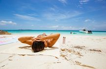 27ft Dream Life Private Charter in Nassau