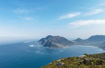 Cape Point and the Cape of Good Hope with their penguin colony