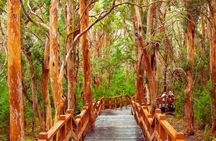 Full Day Cruise to Victoria Island and Arrayanes Forest