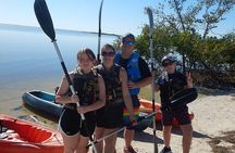 Manatee and Dolphin Kayaking | Wildlife Refuge (Titusville)