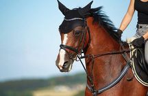 Luxor Horse Adventure Tour in West Bank