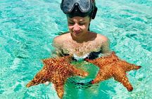 PRIVATE VIP tour Saona Island with Snorkeling, Starfish, Turtles 
