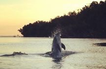 Clear Kayak Sunset Tour - Cocoa Beach