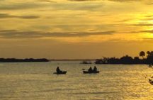 Clear Kayak Sunset Tour - Cocoa Beach