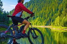 Go eBike Alaska on Tony Knowles Trail