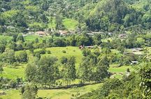 Cocora Valley Tour - Coffee Estate Tour - Salento Tour