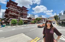 Private Singapore City Tour of Multicultural Hubs with a Local