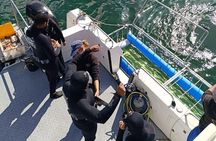 Shark Cage Diving Adventure In Cape Town with scuba