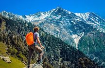 Birni Mata Temple Hike from Palampur – Day Trek