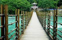  Dujiangyan Irrigation System and Panda Base Day tour