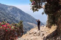 Birni Mata Temple Hike from Palampur – Day Trek
