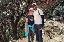 Birni Mata Temple Hike from Palampur – Day Trek