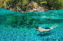 Komani Lake to Shala River Daily Boat Trip