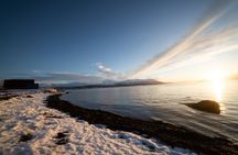 Fjord Adventure Tour in Tromsø with Wildlife and Lunch