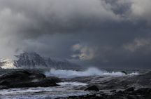Fjord Adventure Tour in Tromsø with Wildlife and Lunch