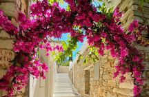 Naxos: Private Full Island 5-Hour Tour