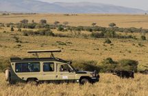 Thrilling 3-Day Private Safari in Masai Mara 