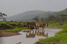Thrilling 3-Day Private Safari in Masai Mara 