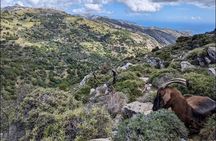Naxos Hiking in Mount Zas