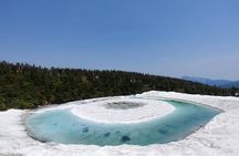 Volcanic Wonders & Scenic Trails