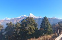 Poon Hill Trek