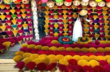 14 Day Vietnam Shared Tour from Hanoi to Ho Chi Minh City