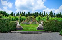 Wine trekking through the vineyards and wine tasting on the hills of Lucca