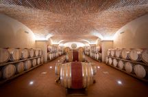 Wine trekking through the vineyards and wine tasting on the hills of Lucca