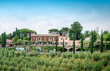 Wine trekking through the vineyards and wine tasting on the hills of Lucca