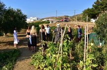 Naxos: Private Wine Three and Half-Hour Experience