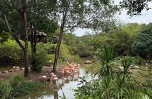 VinWonders & Vinpearl Safari Phu Quoc Island Private Tour