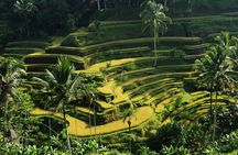 Ubud Private Tour to Iconic Waterfalls Rice Terrace and Temple