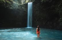 Ubud Private Tour to Iconic Waterfalls Rice Terrace and Temple