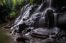 Ubud Private Tour to Iconic Waterfalls Rice Terrace and Temple