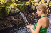 Ubud Private Tour to Iconic Waterfalls Rice Terrace and Temple