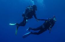 Explore the Mediterranean with Two Guided Dives in Small Groups