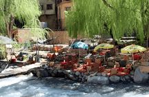 Private Day Trip to Atlas Mountains with Berber Lunch