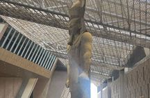 Best Private Tour: Giza Pyramids & Grand Egyptian Museum