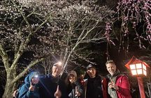 Private Night walk Tour at the foot of Mt. Fuji
