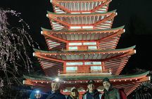 Private Night walk Tour at the foot of Mt. Fuji
