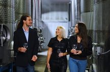 Chattanooga Wine Tasting with Art Sightseeing Tour